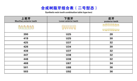 High Strength Artificial Dental Acrylic Resin Teeth With High Biocompatibility