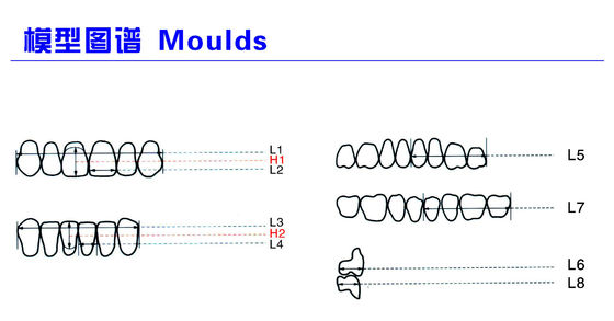 High Strength Artificial Dental Acrylic Resin Teeth With High Biocompatibility