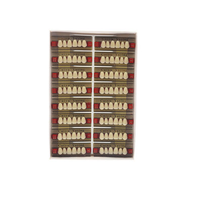 Easy to Use Dental Acrylic Resin Teeth with High Stain Resistance