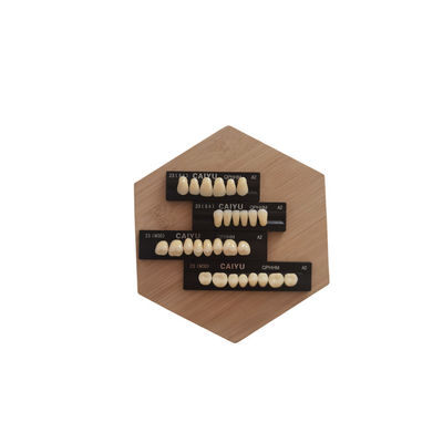 High Wear Resistance Dental Acrylic Resin Teeth Form 1 Heraeus