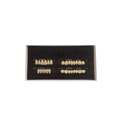 High Wear Resistance Dental Acrylic Resin Teeth Form 1 Heraeus